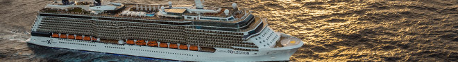 Celebrity Reflection