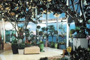 The Conservatory