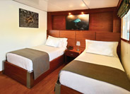 Elite Ocean View Stateroom