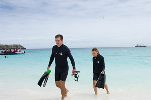 Complimentary Wetsuits