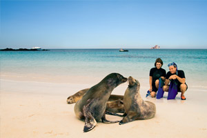 Observe Exotic Wildlife