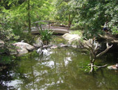 Jacksonville Zoo & Gardens