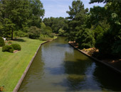 Norfolk Botanical Garden