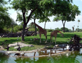 Busch Gardens Tampa Bay