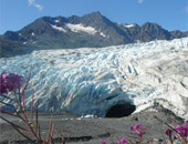 Prince William Sound