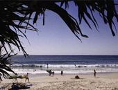 Contiki Australia tours