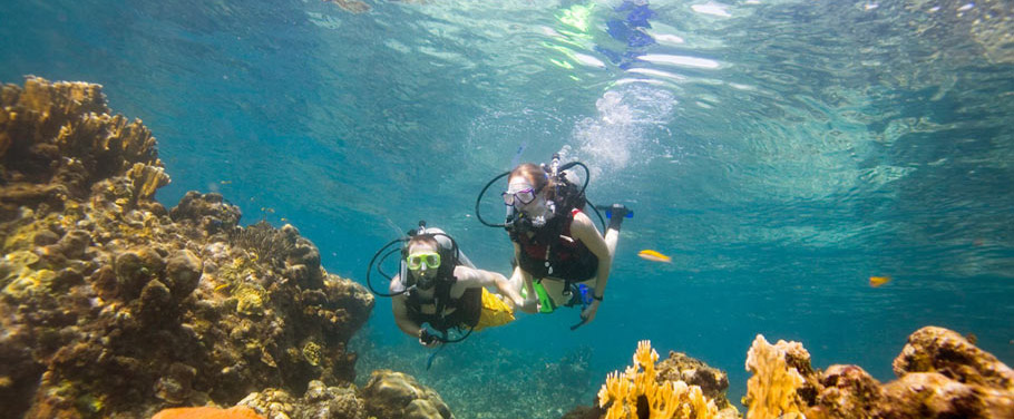 Unlimited Scuba Diving