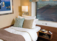 Solo Oceanview Stateroom