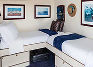 Standard Stateroom