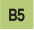 B5