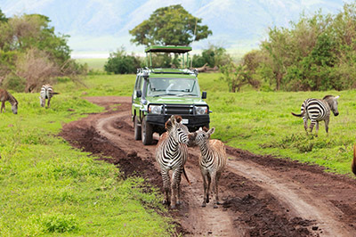 New Year's Cruises to Africa