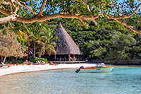 South Pacific Cruises