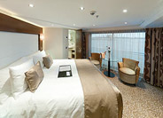 Category 4 Stateroom